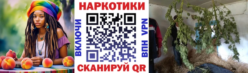 Продажа наркотиков Боровск Конопля  A PVP  ГАШ 