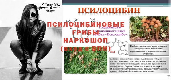 спиды Алзамай