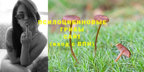 спиды Алзамай